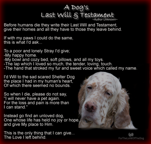Dogs last will and testament